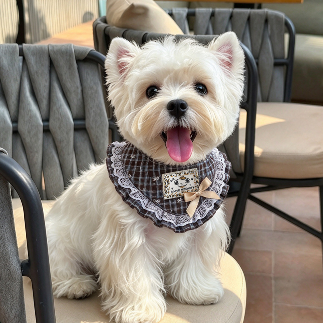 Brown plaid Pet Neckwear with a beige bow and white lace-look edging, worn by a white dog on a chair