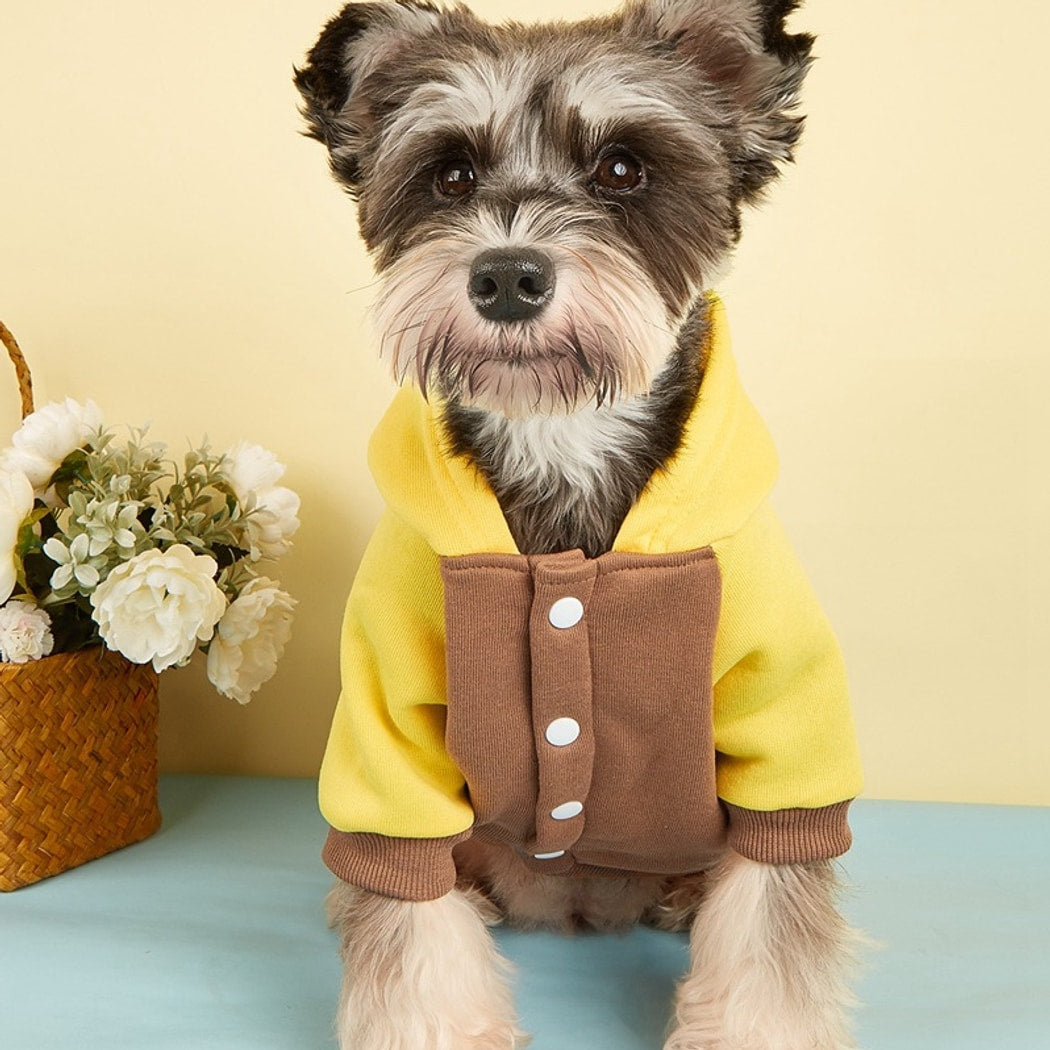 Ozzie - Sports Style Color Block Pet Hoodie