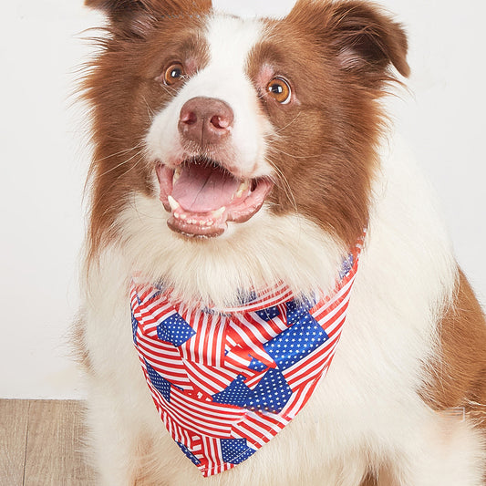 Independence Day Dog Bandana