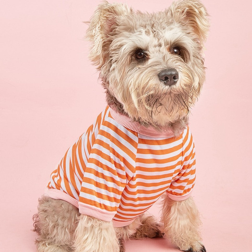 Ozzie - Casual Short Sleeve Striped Pet Dog T-Shirt