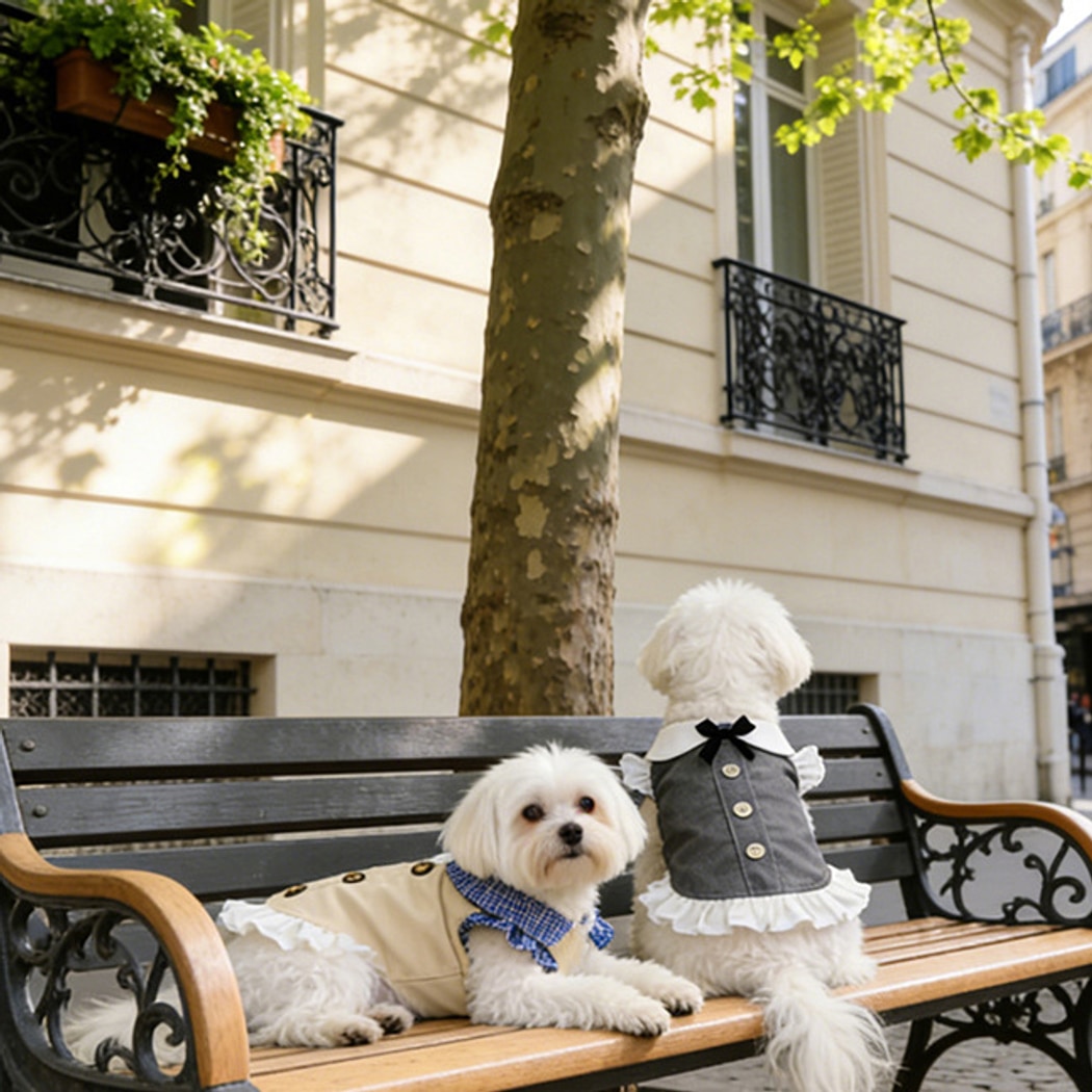 Ozzie - Layered Hem Dress Style Pet Clothing