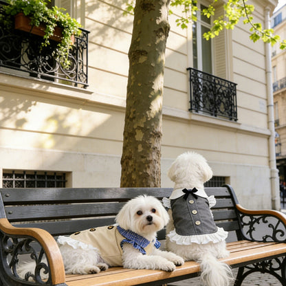 Ozzie - Layered Hem Dress Style Pet Clothing