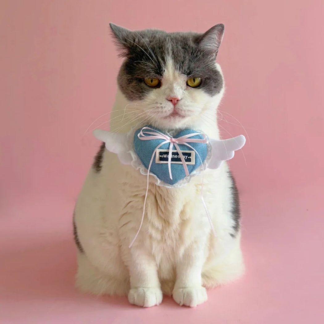 Mokka - Angel Heart Bow Pet Collar