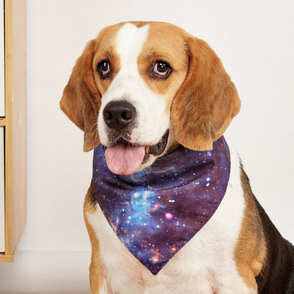 Furbud Galaxy Print Bandana tied in a triangle shape with galaxy pattern