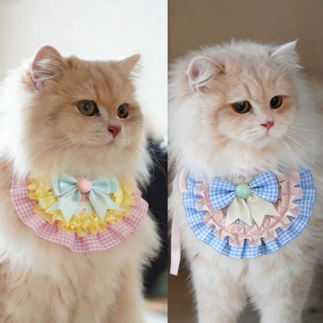 Mokka Colourblock Bow Cat Bib on a white background showing front view