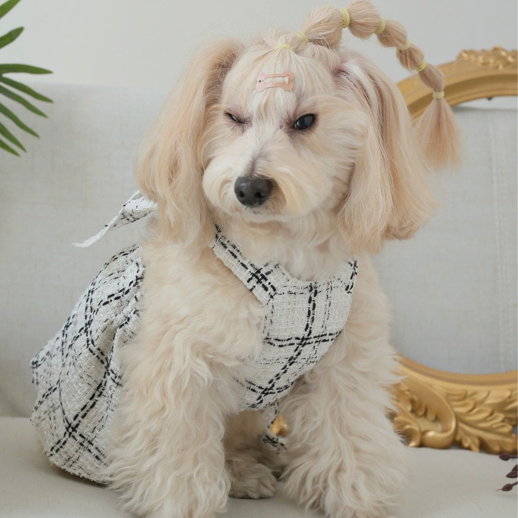 Ozzie - Bow Detail Cat and Dog Suspender Dress