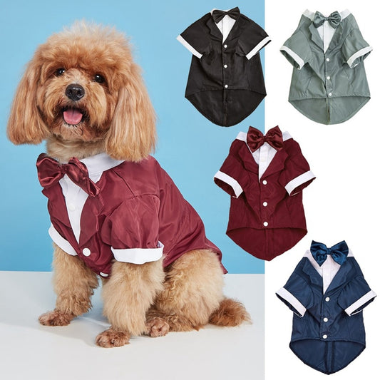 Ozzie - Formal Button Front Dog Shirt Suit Outfit