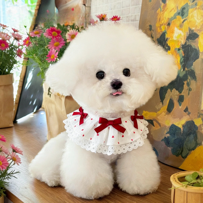 Mokka - Bow Lace Bib Pet Neckwear