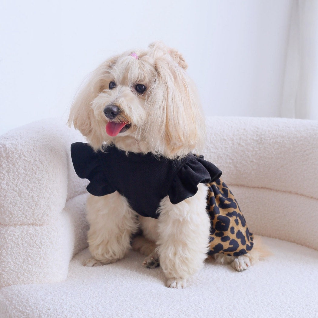 Ozzie - Black Leopard Print Bubble Skirt Pet Dress