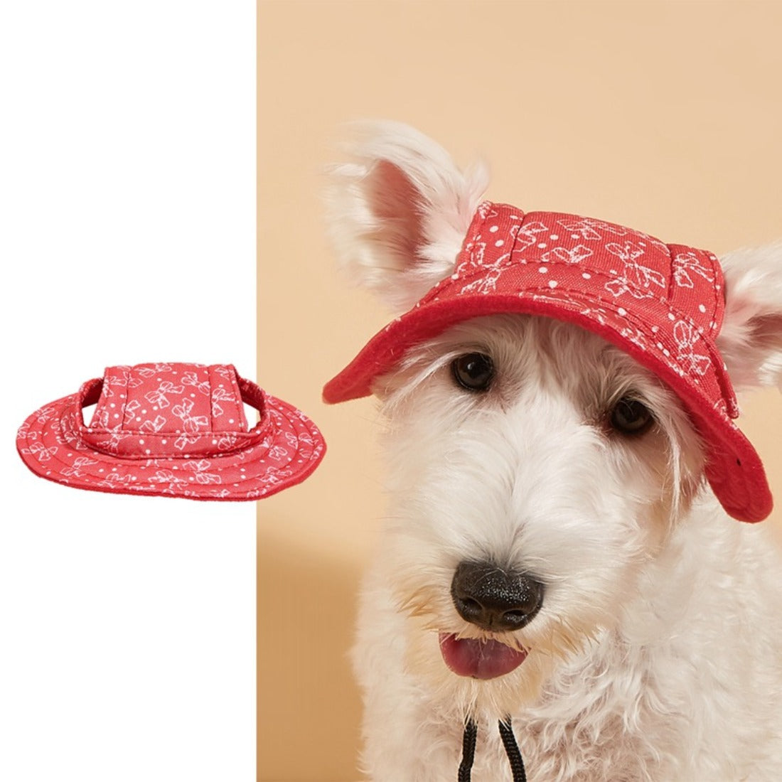 Ozzie dog bucket hat worn by a small dog outdoors