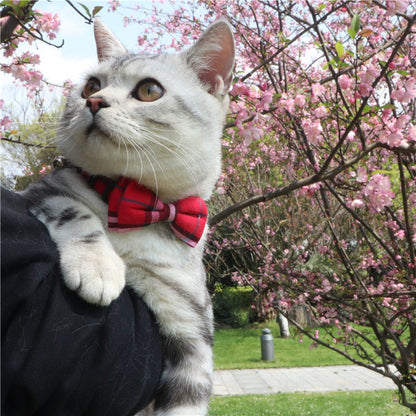 Mokka - Plaid Bowtie Cat Collar