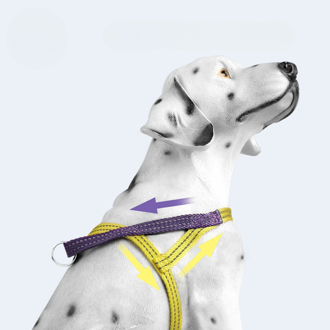 Loofie - Color-Block Pet Harness Collar