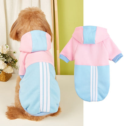 Ozzie - Sports Style Color Block Pet Hoodie