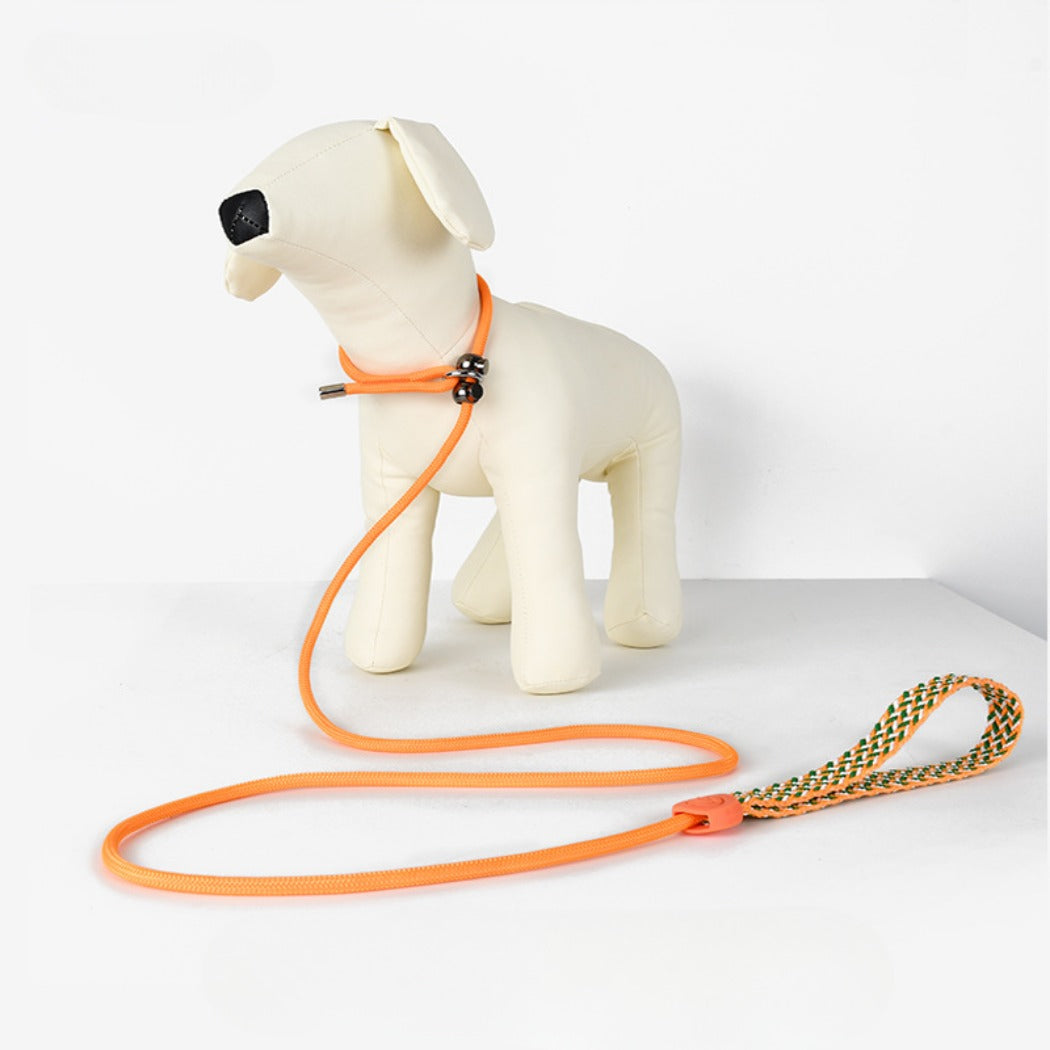 Loofie - P-Leash Training Dog Leash