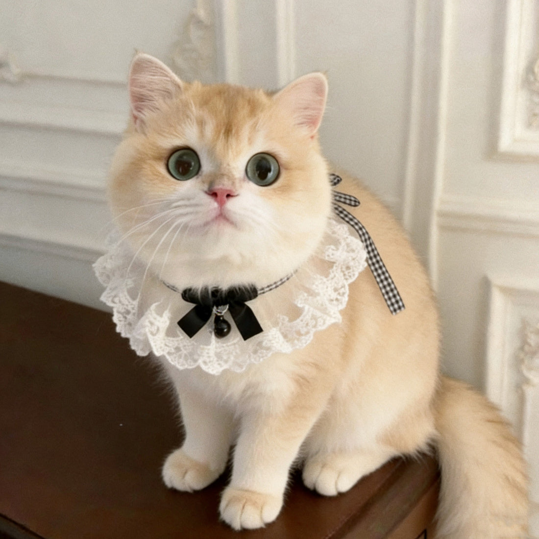 Mokka lace bow charm cat collar in soft beige with adjustable strap