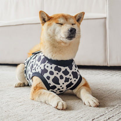 Ozzie - Trim Detail Dog Aftercare Recovery Vest