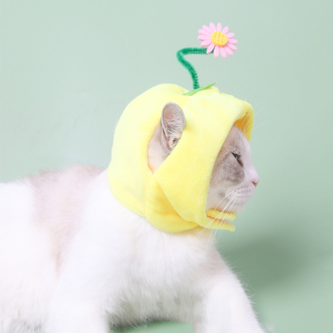 Ozzie - Fruit-Shaped Pet Hat