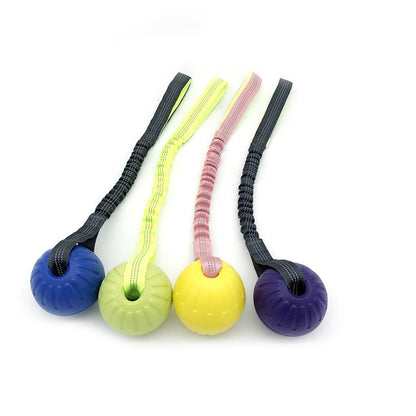 Petkin - Floating Rope Handle Dog Ball Toy