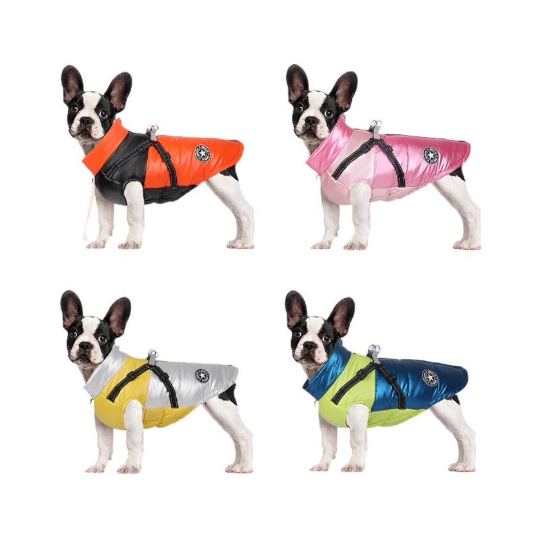 Ozzie - Reflective Colorful Winter Coat for Medium and Small Dogs