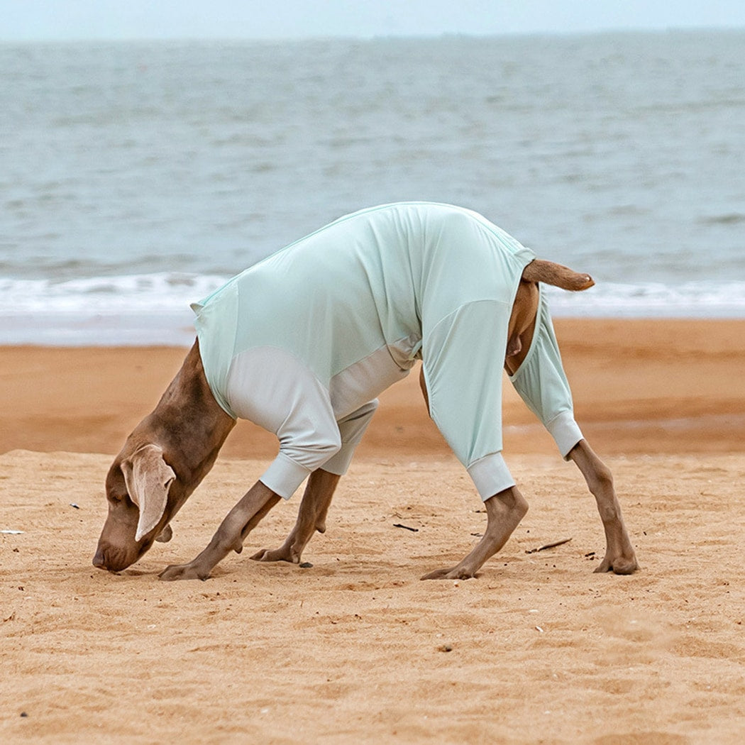 Ozzie - Full Coverage Four-Leg Summer Dog Shirt