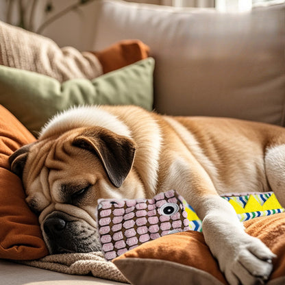 Petkin – Plush Squeaky Dog Toy