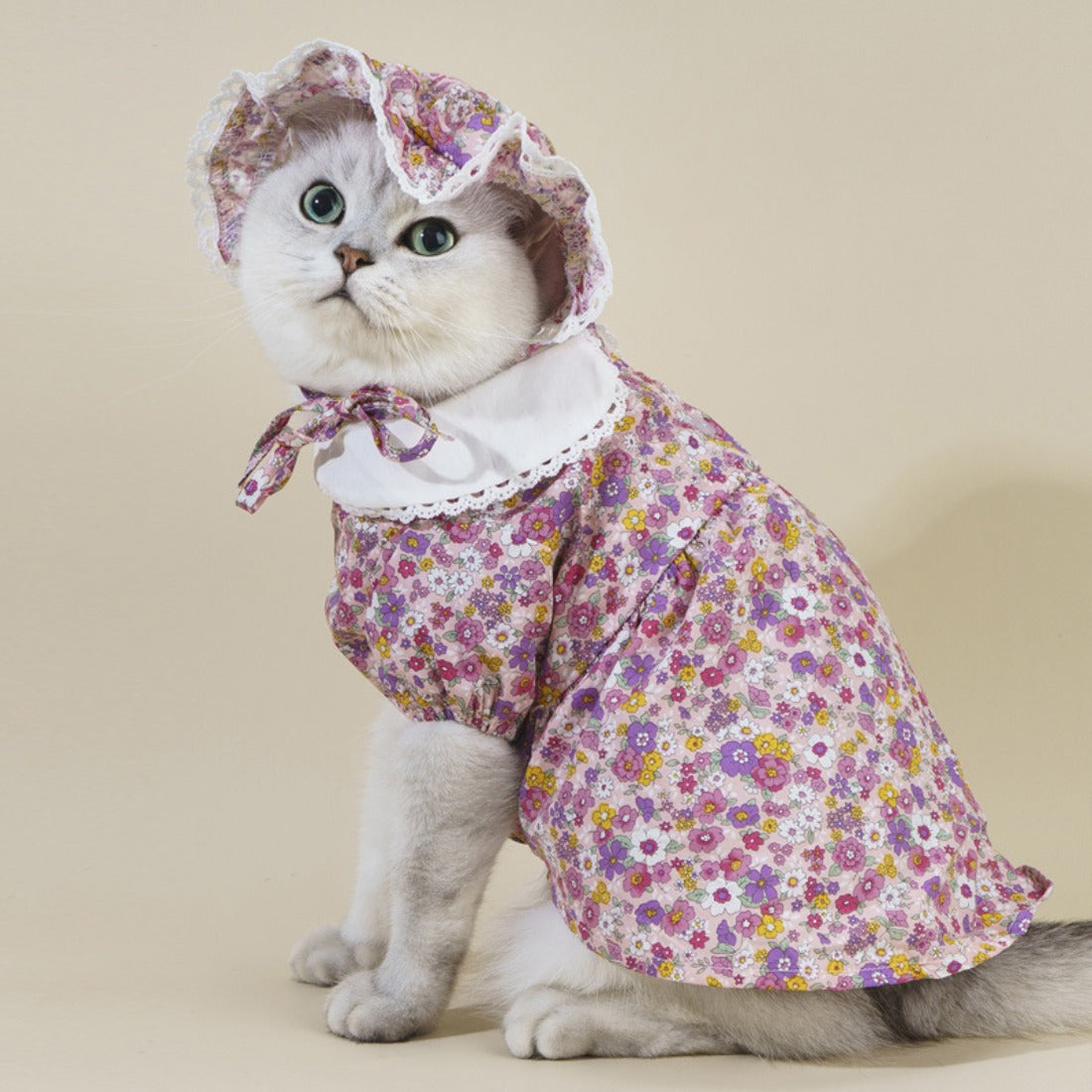 Ozzie - Floral Pattern Cat Dress Set