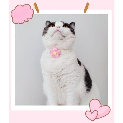 Mokka - Floral Knit Cat Decorative Collar