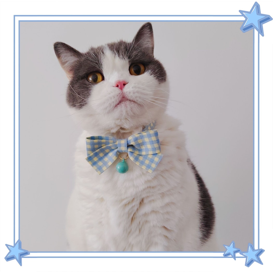 Mokka - Plaid Bow Bell Adjustable Cat Collar