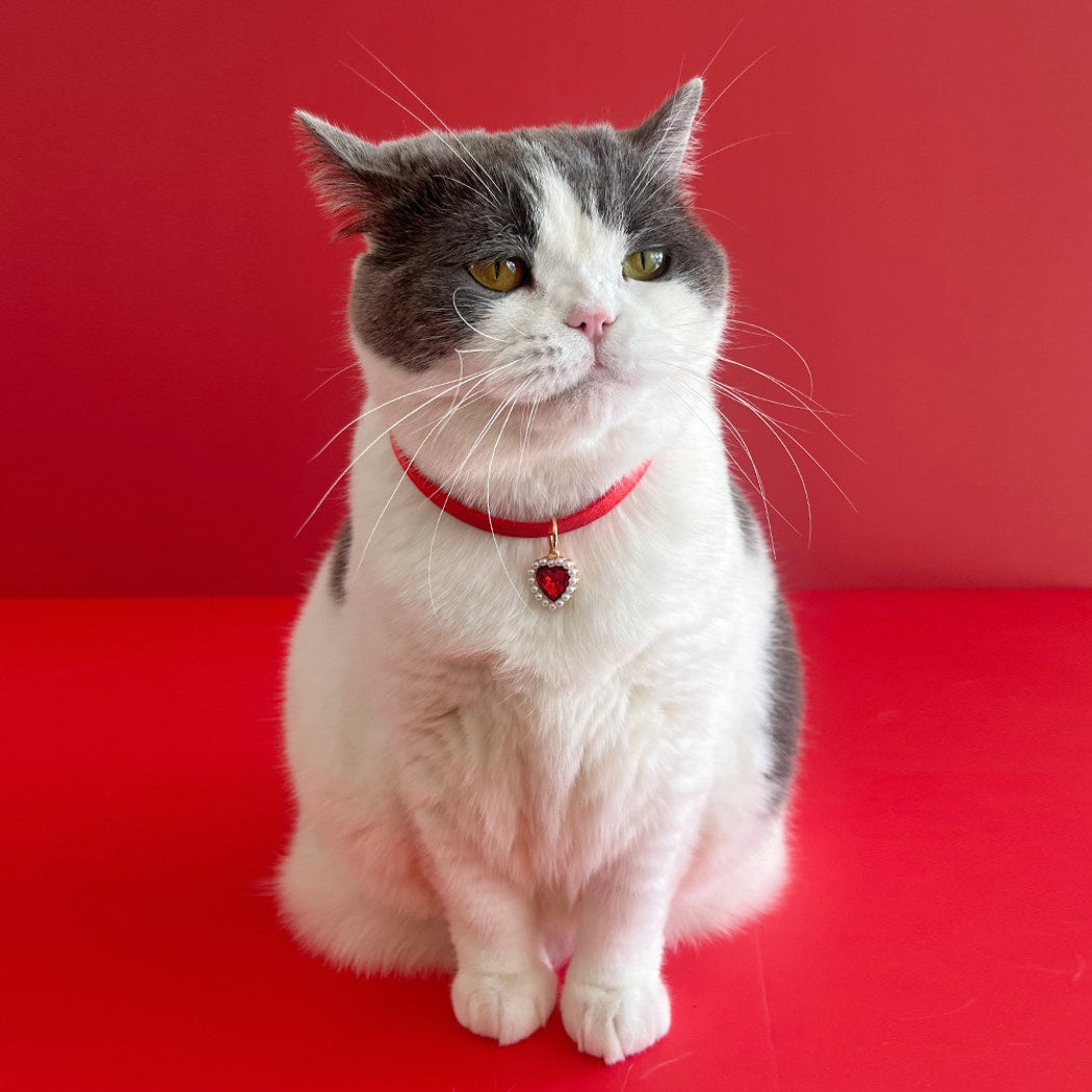 Mokka - Cute Heart Detail Adjustable Cat Collar