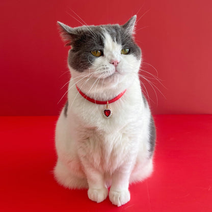 Mokka - Cute Heart Detail Adjustable Cat Collar