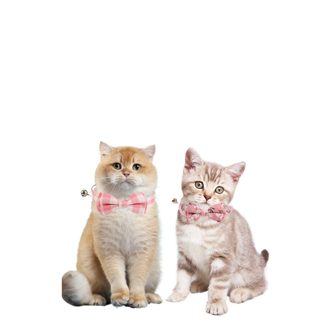 Close-up of Mokka floral print soft bow tie cat collar showing fabric texture