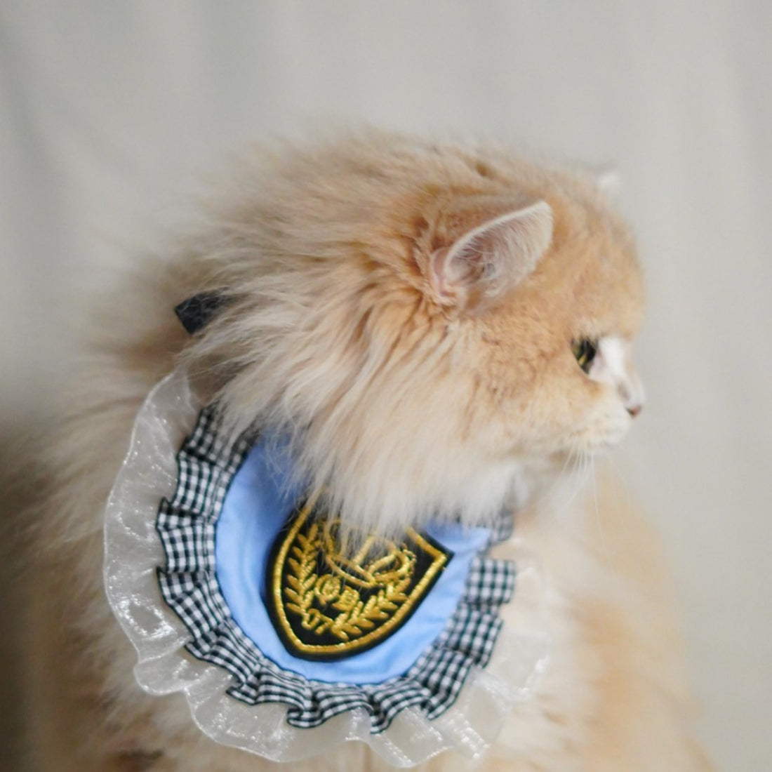 Close-up of Mokka College Look Cat Neck Bib showing detailed cat face design