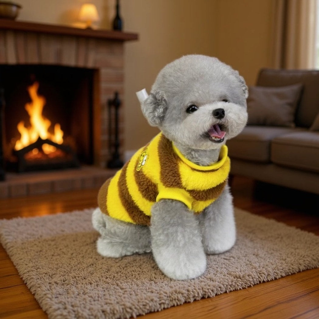 Ozzie - Bee Stripe Cartoon Two-Leg Dog Coat