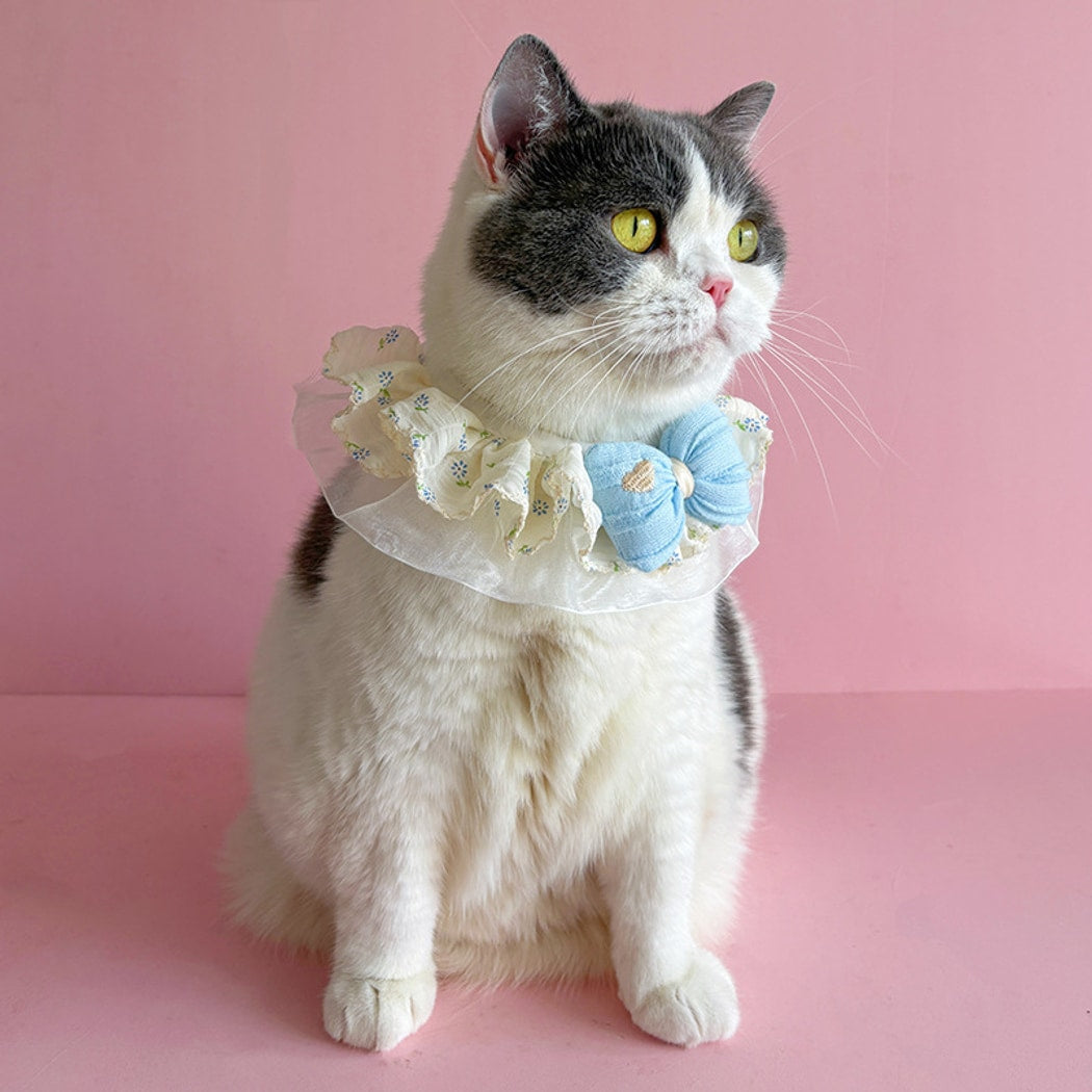 Mokka - Floral Mesh Ruffle Bow Cat Collar