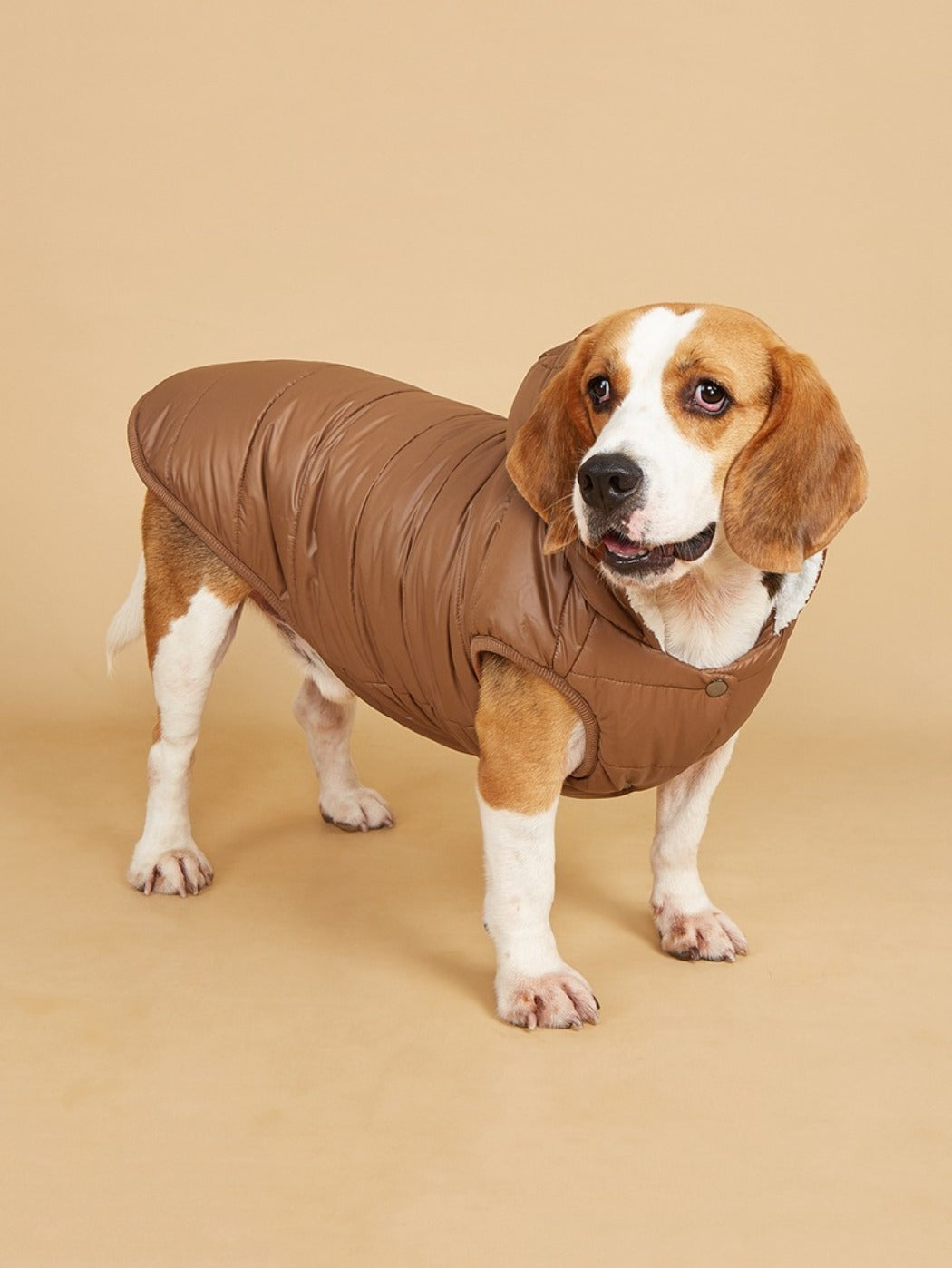 Ozzie – Puffer Hoodie Dog Coat