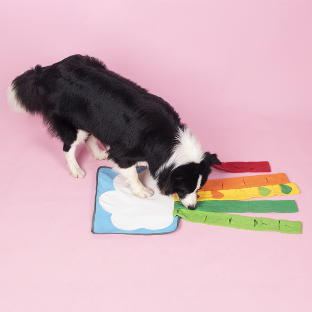 Snuffy - Rainbow Snuffle Mat