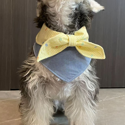 Mokka - Sweet Shirt Collar Bow Pet Bandana