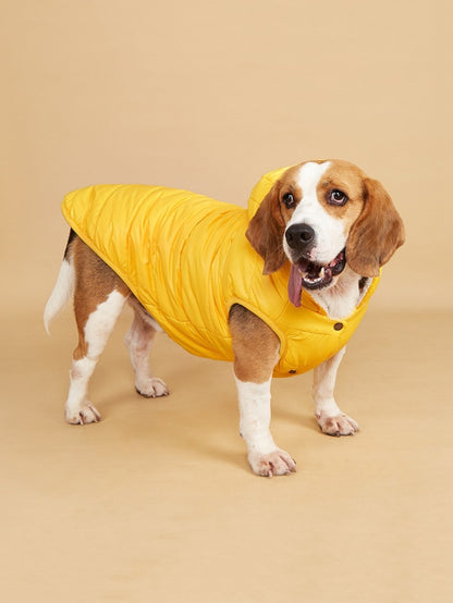 Ozzie – Puffer Hoodie Dog Coat
