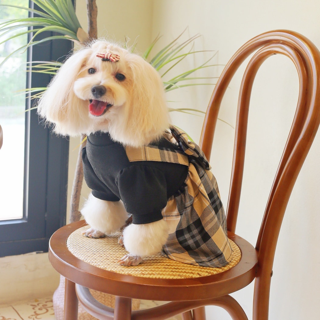 Ozzie - Plaid British Style Pet Dress for Dogs