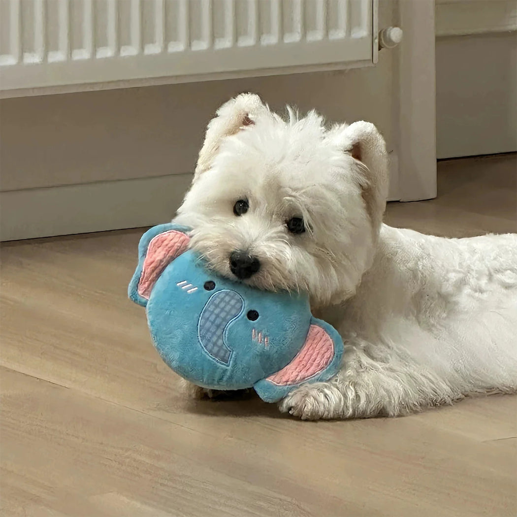 Petkin - Elephant & Lion Flat Disc Dog Toy