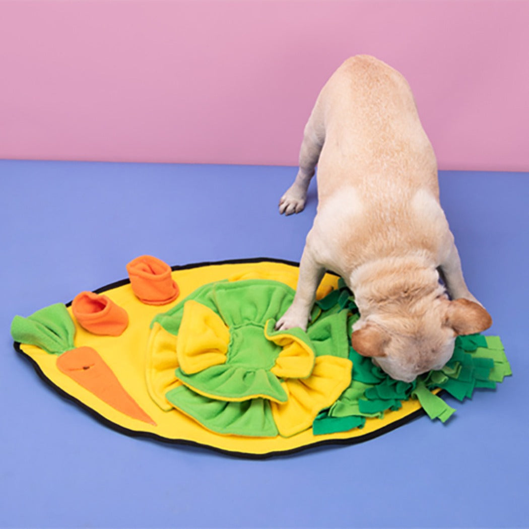 Snuffy- Carrot Pet Snuffle Mat