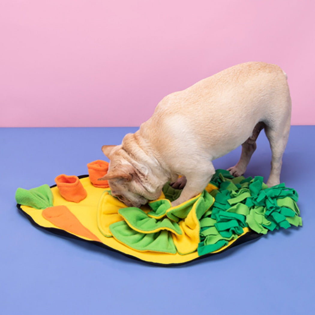 Snuffy- Carrot Pet Snuffle Mat