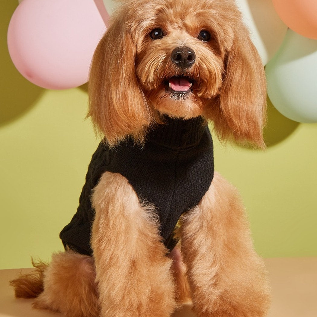 Ozzie - Cable Knit Pullover Dog Sweater Vest