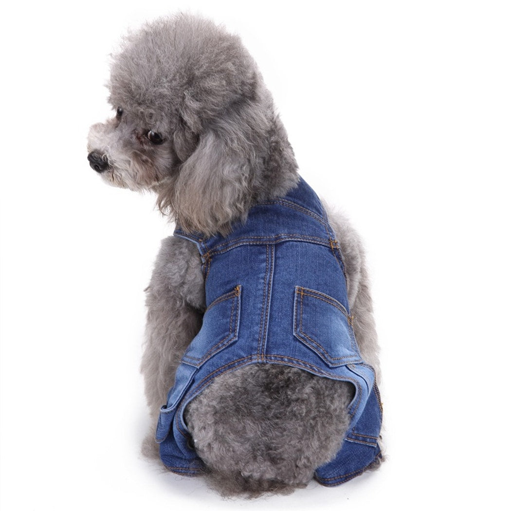 Ozzie - Button Denim Look Dog Apparel