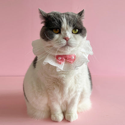 Mokka - Bow Lace Trim Cat Collar