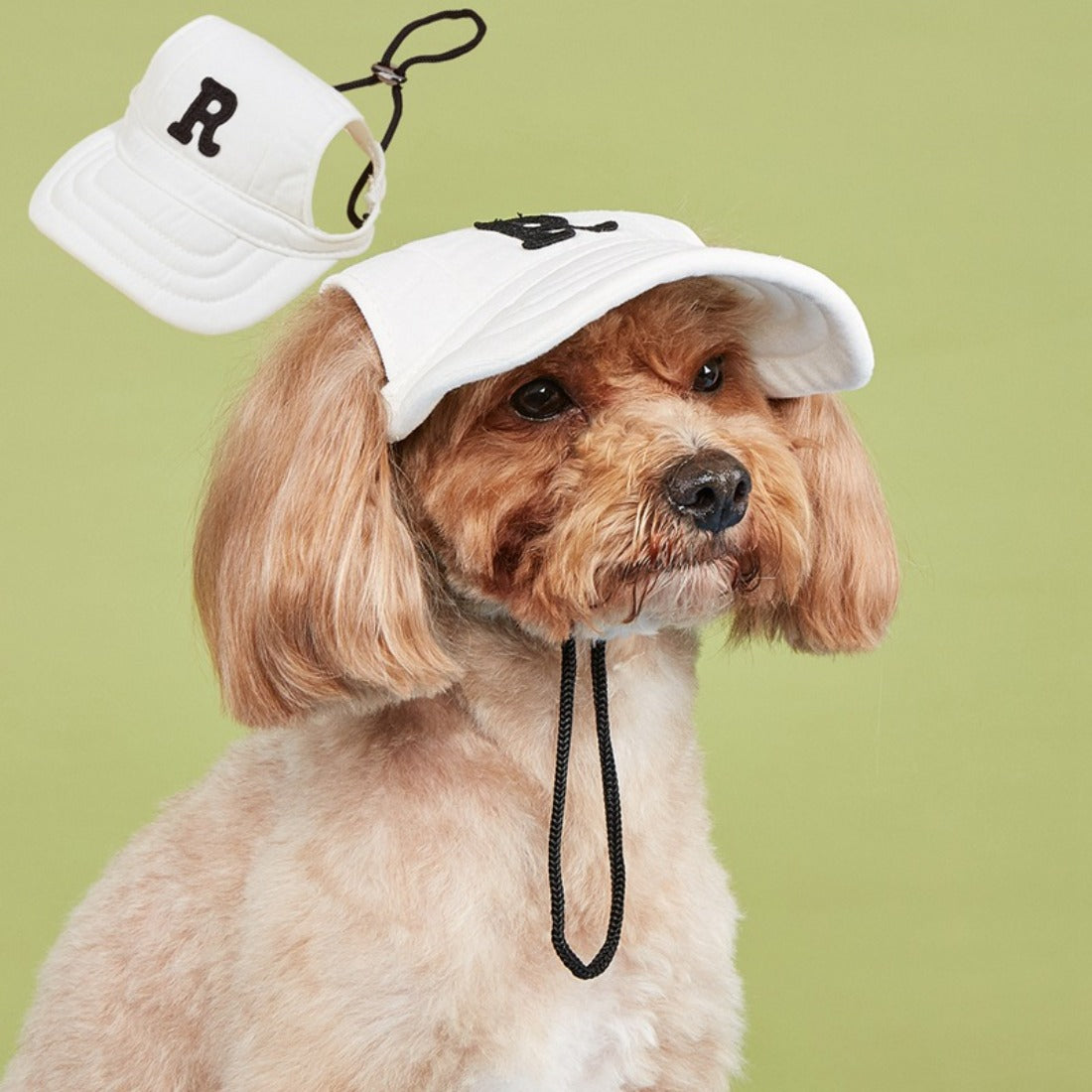 Close-up of embroidered dog and letter O on navy blue Ozzie Letter Dog Baseball Cap