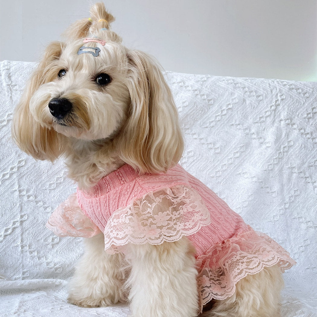 Ozzie - Casual Lace Trim Cat and Dog Pet Dress