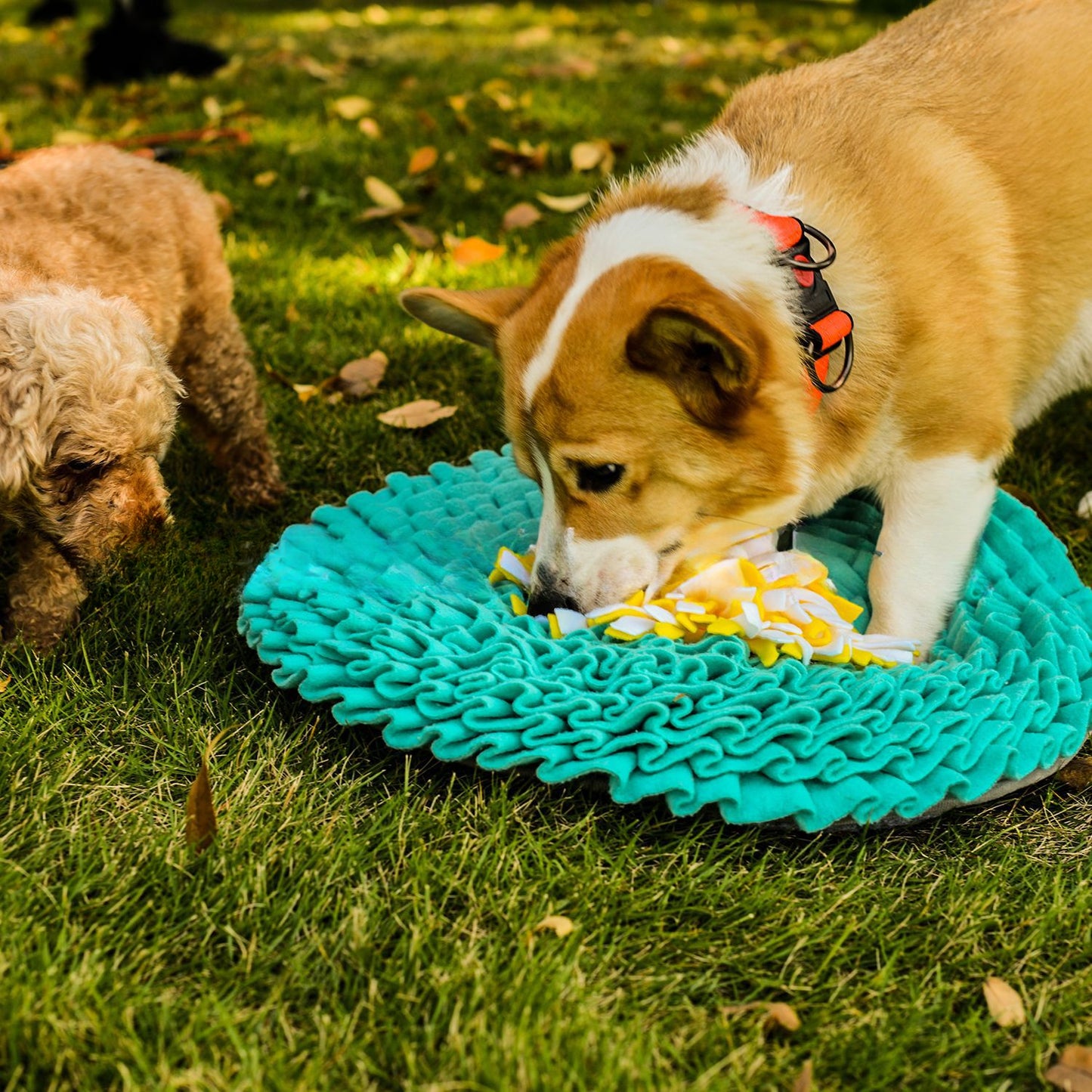 Snuffy - Lake Blue Round Pet Snuffle Mat