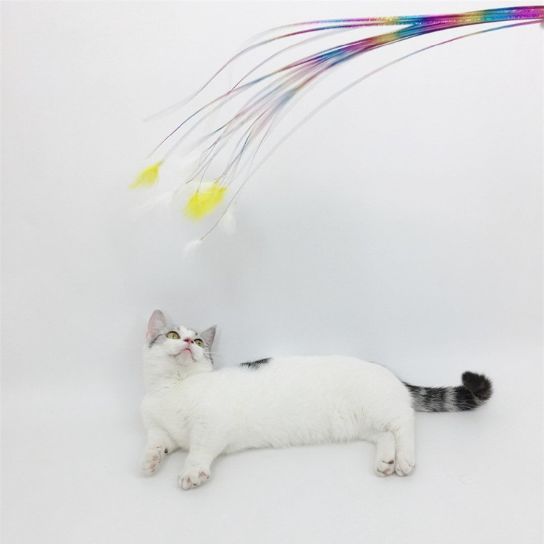 Moo Ribbon Feather Cat Teaser Wand with bright feathers and ribbons on a wooden stick