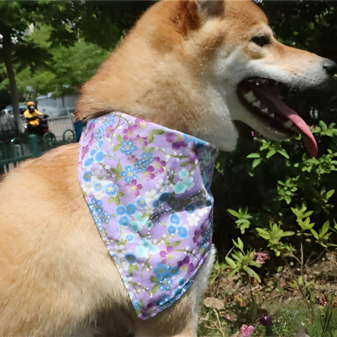 Furbud - Colorful Floral Dog Bandana